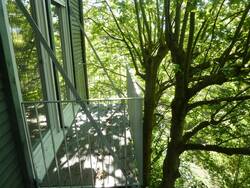 Balkon im Grünen