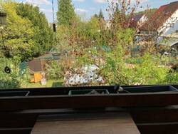 Ausblick Schlafzimmer