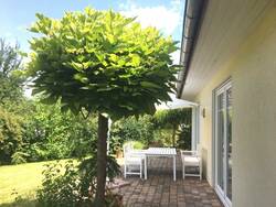 Terrasse, Ansicht 2