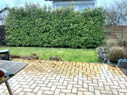 Terrasse, Garten